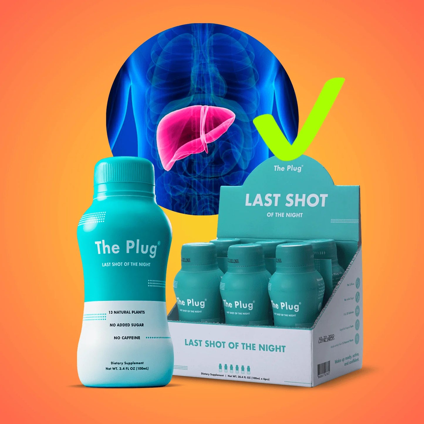 Liver Support Supplements