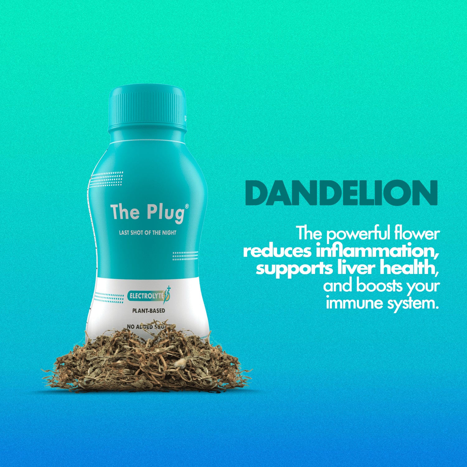 Liver Support Supplements